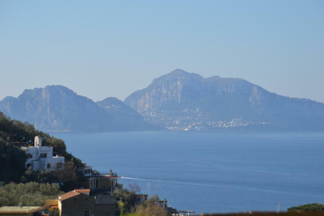 Amore Rentals - Casa Marisa Massa Lubrense Kültér fotó